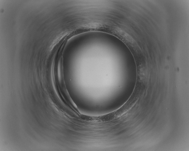 X0000073850544200608101228