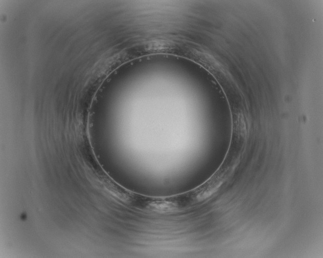 X0000073850557200608101228