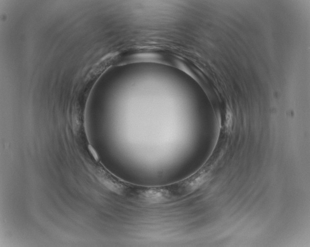 X0000073850566200608101228
