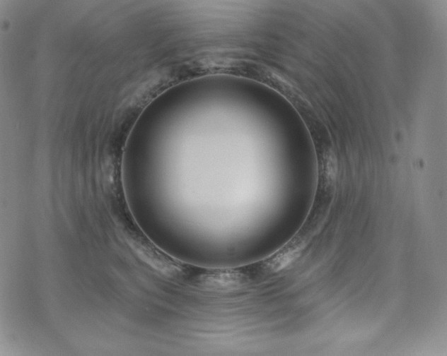 X0000073850567200608101228