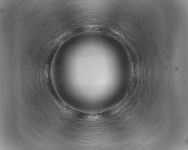 X0000073850570200608101228