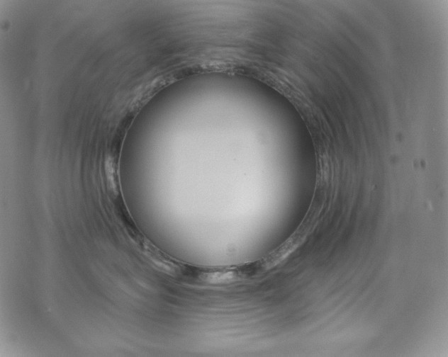 X0000073850575200608101228