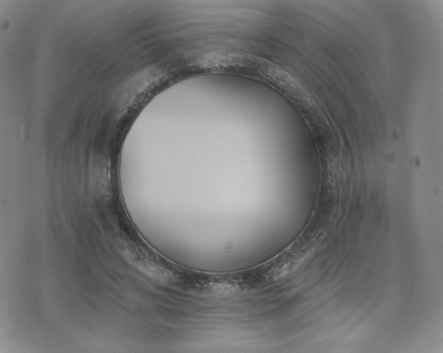 X0000073850592200608101227