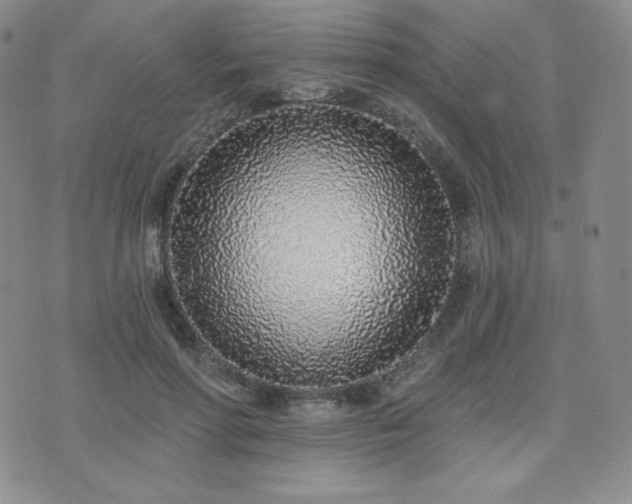 X0000073850598200608101227