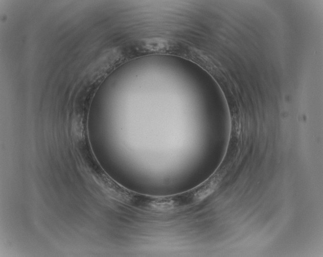 X0000073850606200608101227
