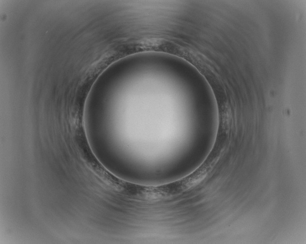 X0000073850608200608101227