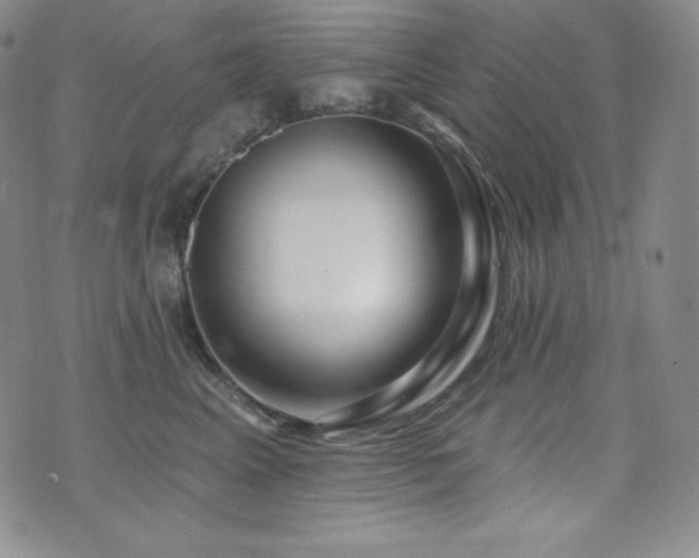 X0000073850617200608101227