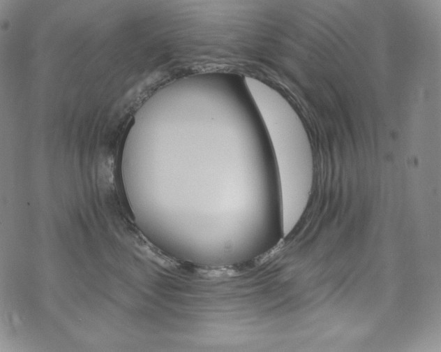 X0000073850621200608101227