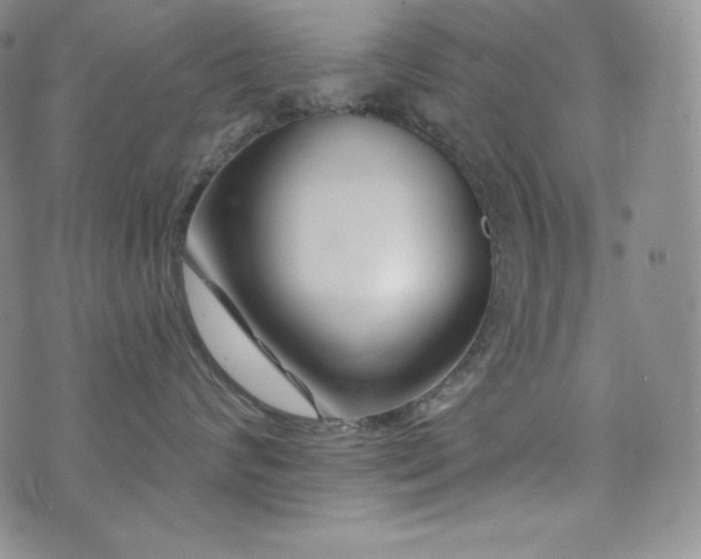 X0000073850624200608101227