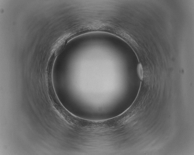 X0000073850626200608101226