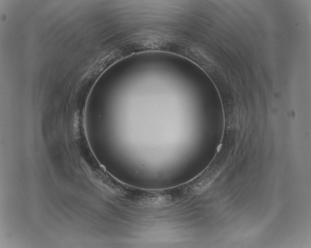 X0000073850646200608101226