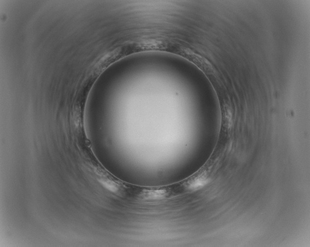 X0000073850665200608101227
