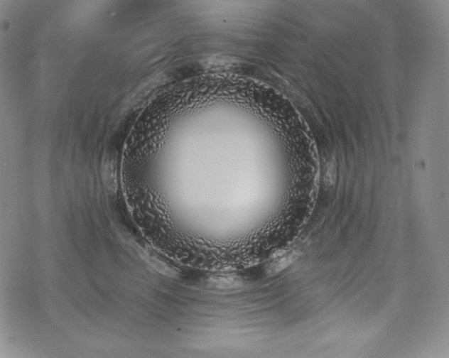 X0000073850666200608101227