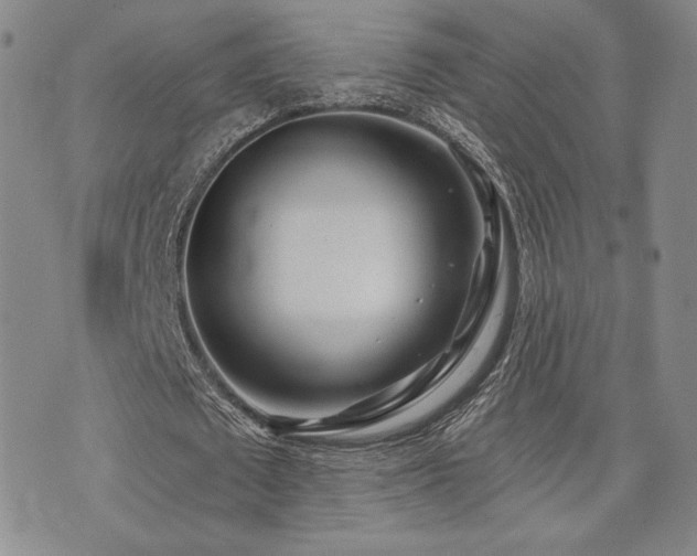 X0000073850673200608101226