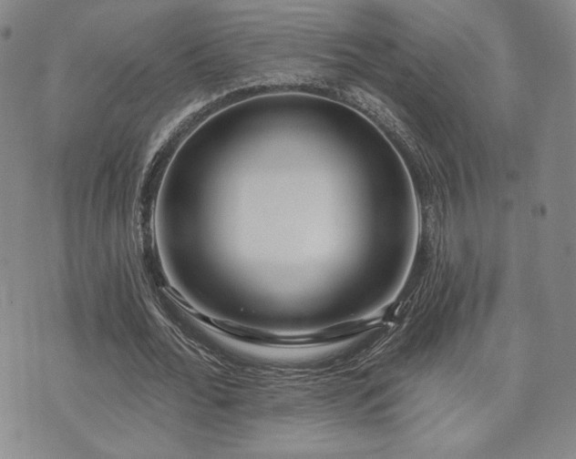 X0000073850676200608101226