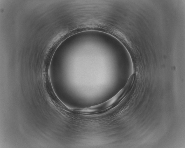 X0000073850680200608101226