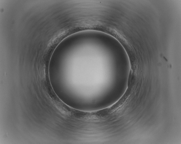 X0000073850685200608101226