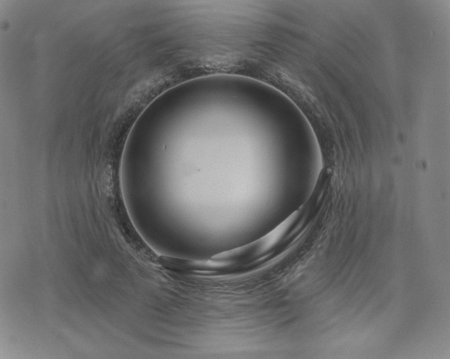X0000073850689200608101226