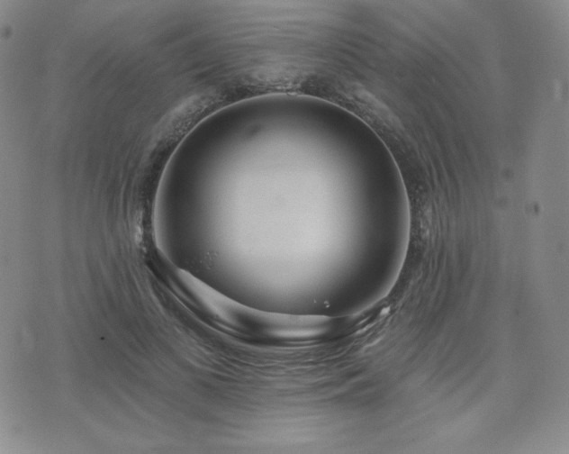 X0000073850693200608101226