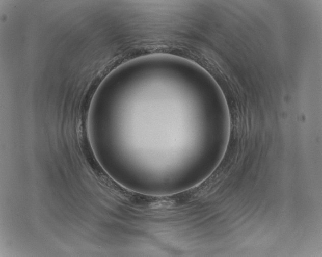 X0000073850700200608101225