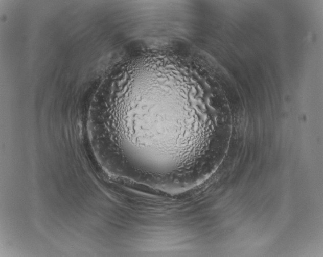 X0000073850703200608101225