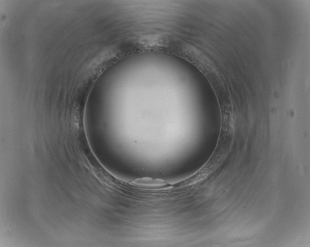 X0000073850710200608101225