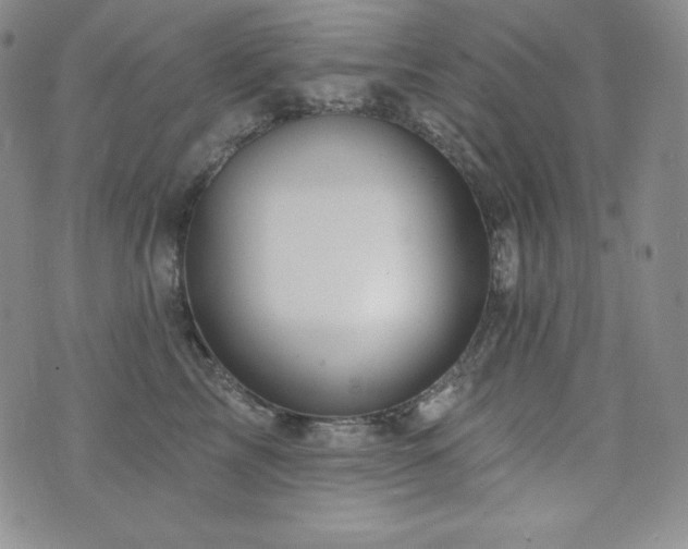 X0000073850713200608101225