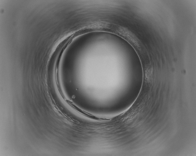 X0000073850724200608101224