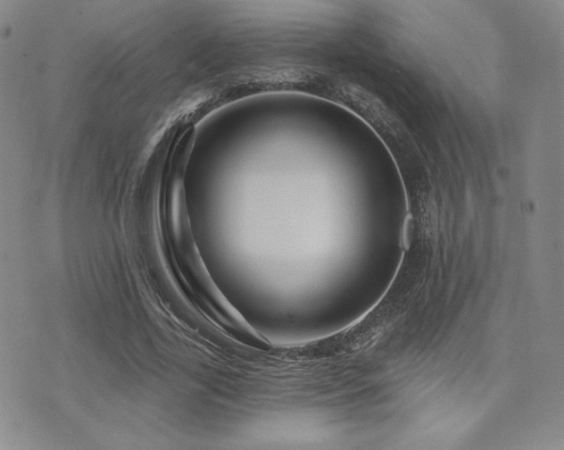 X0000073850731200608101224