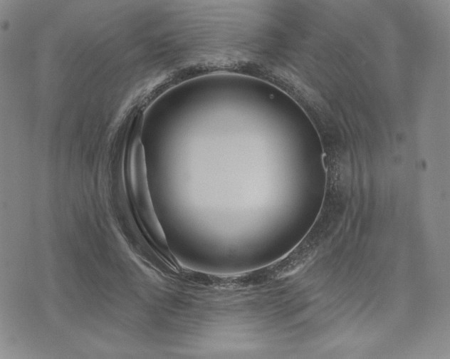 X0000073850736200608101225