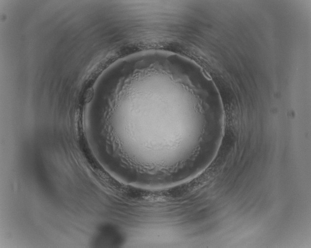 X0000073850742200608101225