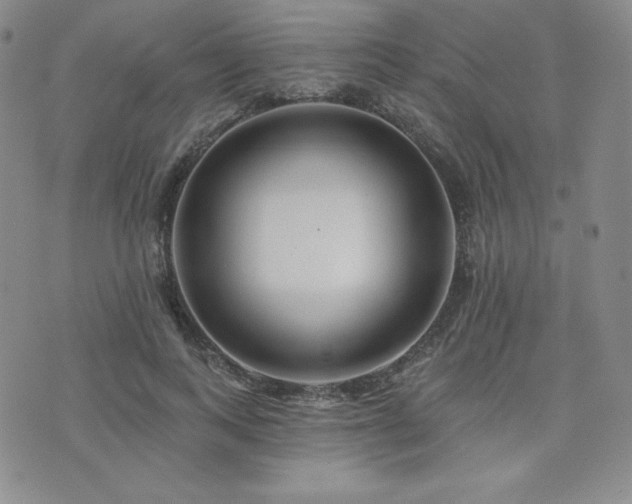 X0000073850743200608101225