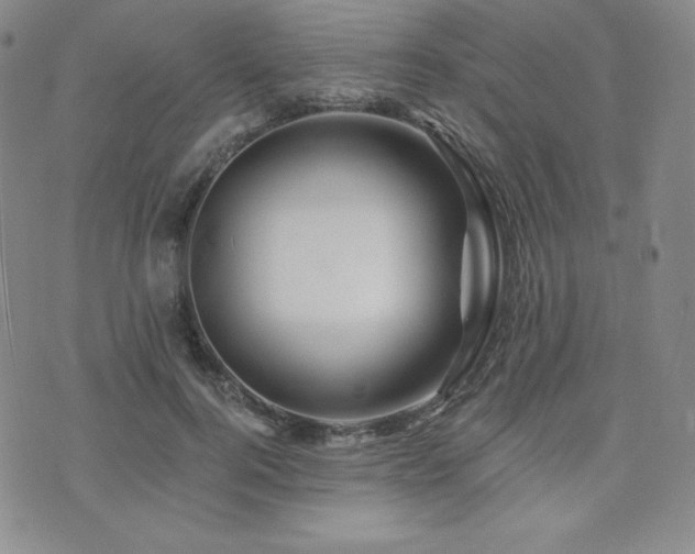 X0000073850744200608101225