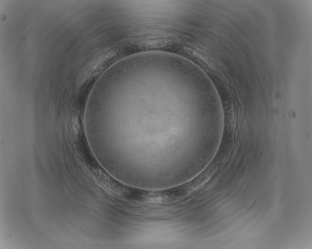 X0000073850746200608101225