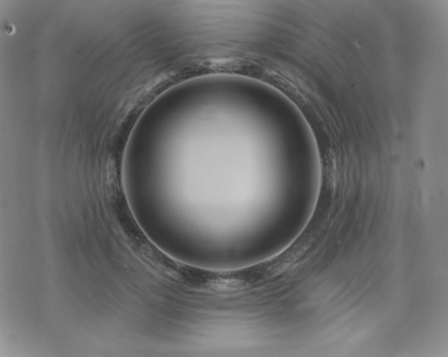 X0000073850748200608101225