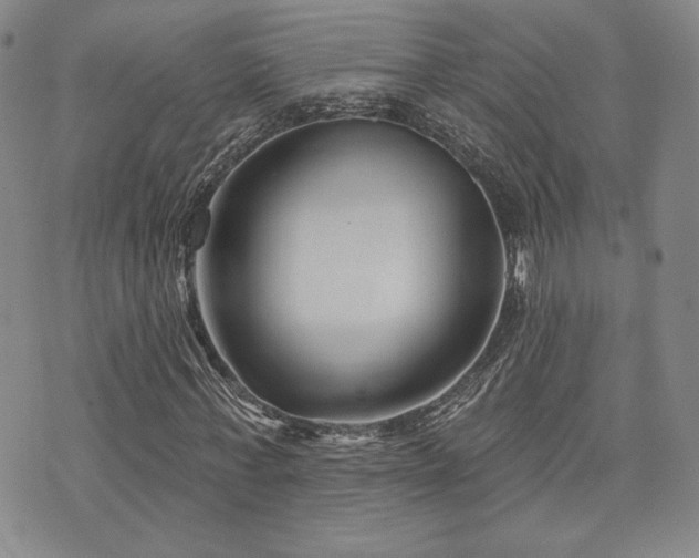 X0000073850771200608101224