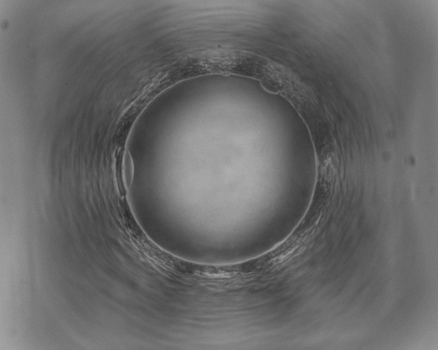 X0000073850772200608101224