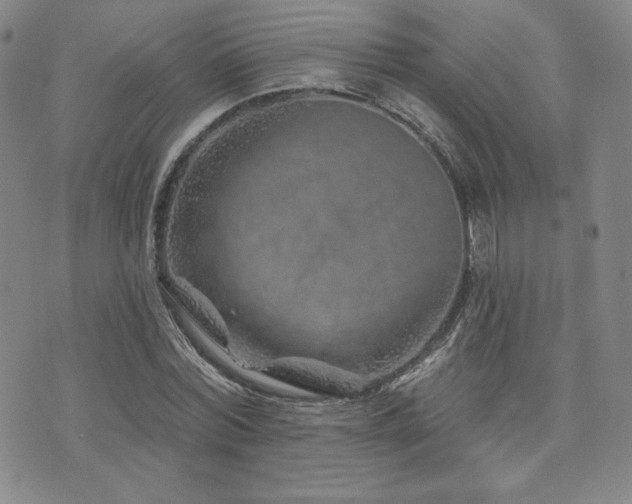 X0000073850780200608101224