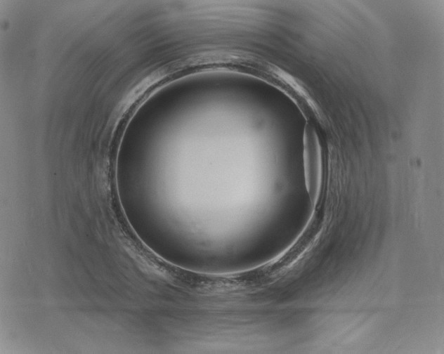 X0000073850786200608101224