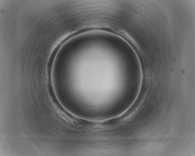 X0000073850787200608101224