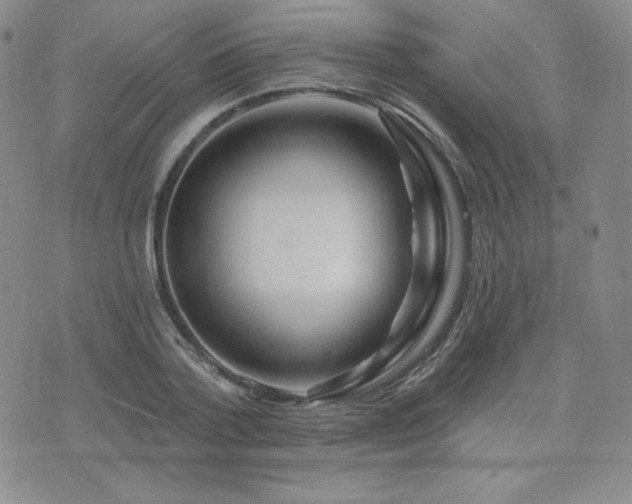 X0000073850788200608101224