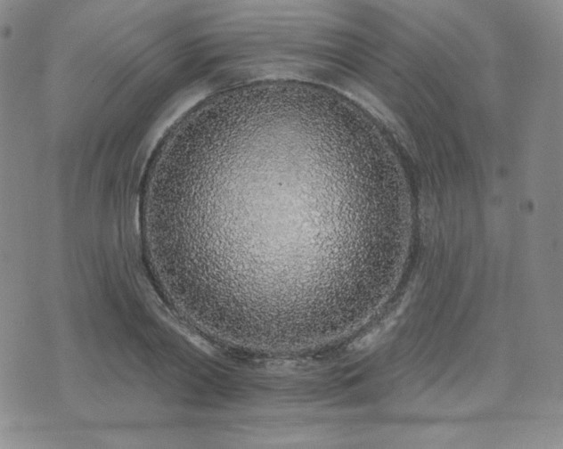X0000073850790200608101224