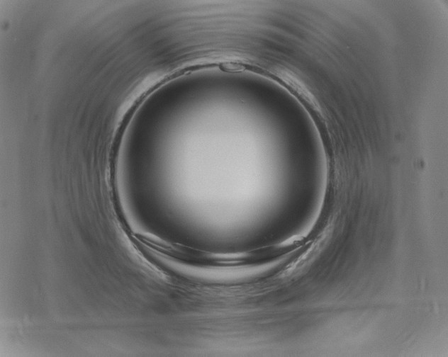 X0000073850797200608101224