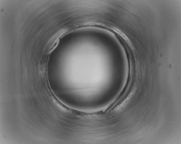 X0000073850801200608101224