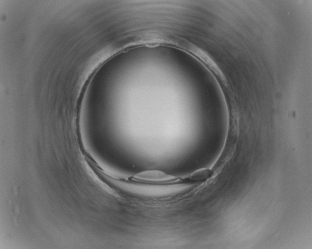 X0000073850805200608101224