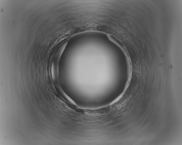 X0000073850818200608101223