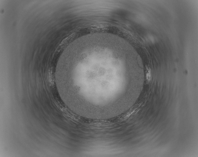 X0000073850819200608101223