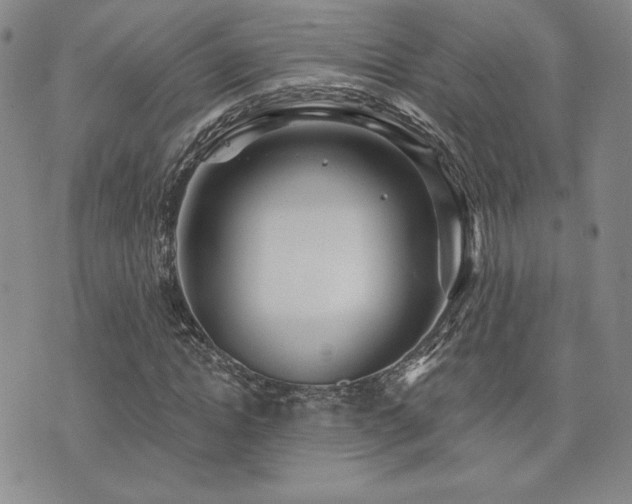 X0000073850822200608101223