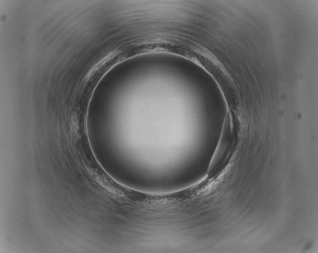 X0000073850826200608101223