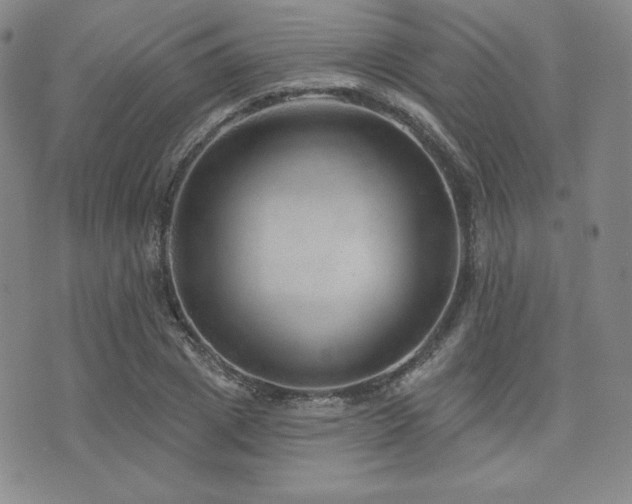 X0000073850833200608101223